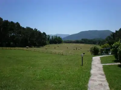 Residence Tourist - 7