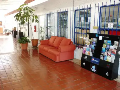 Arana Tonalá - 10