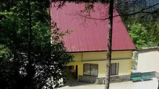 Guest House Borjomi Forest - 0