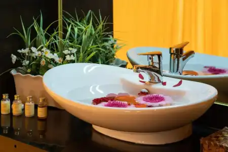 Fun Retreat Resort, and Ayurveda Spa - 29