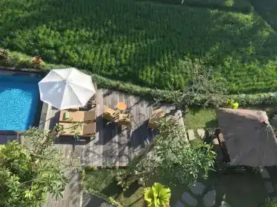 Byasa Ubud - 10