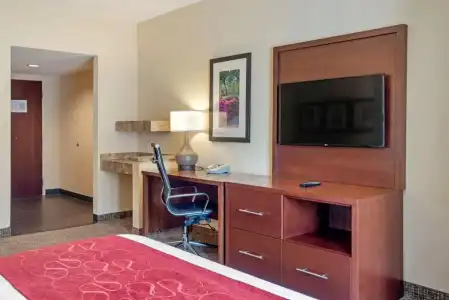 Comfort Suites Fredericksburg North - 100