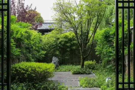 Banyan Tree Lijiang - 93