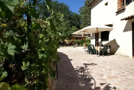 Il Querceto - B&B e Appartamenti Vacanze - 36