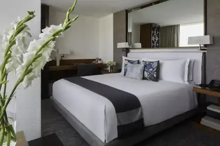 Las Alcobas, a Luxury Collection, Mexico City - 35
