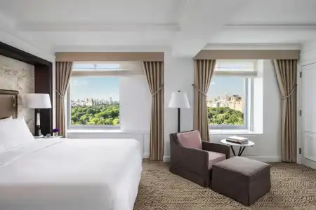 The Ritz-Carlton New York, Central Park - 24