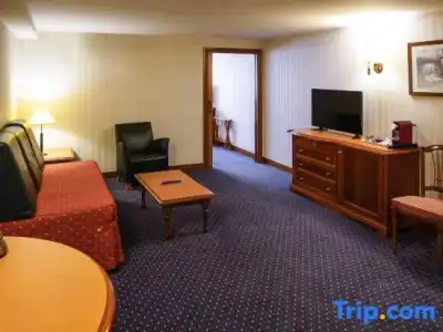 Hôtel Mercure - 101