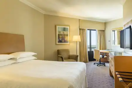 Sheraton Buenos Aires & Convention Center - 2