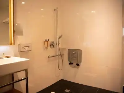 Mercure - 55