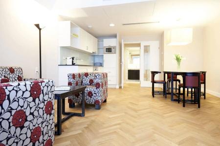 Singerstrasse 21-25 Apart350m next to St Stephen´s Square - 17