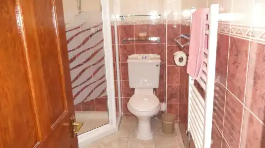 Acer Lodge Guest House - 7