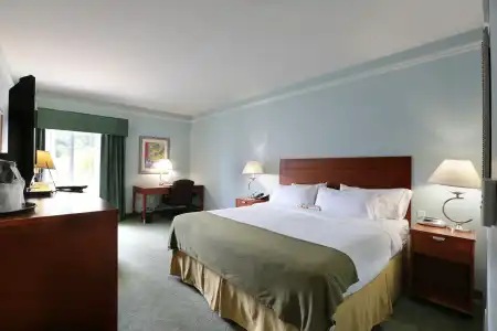Holiday Inn Express Tampa N I-75 - University Area by IHG - 45