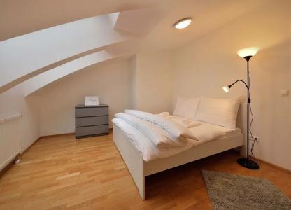 Business & Family Ambiente Apartments - 4