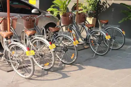 M Chiang Mai - 23