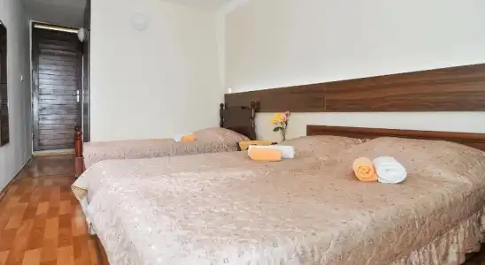 Kamelija - 2
