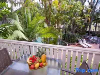 Port Douglas Retreat - 11
