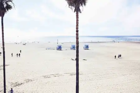 Venice V - 86