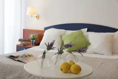 Residence Mimosa - 6