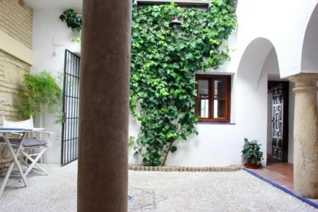 Apartamentos Los Patios de la Judería - 242