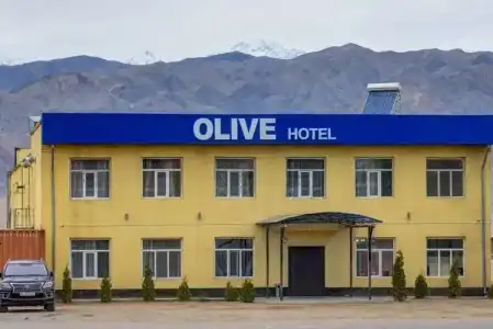 Olive - 0