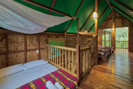 Our Jungle Camp - Eco Resort - 37