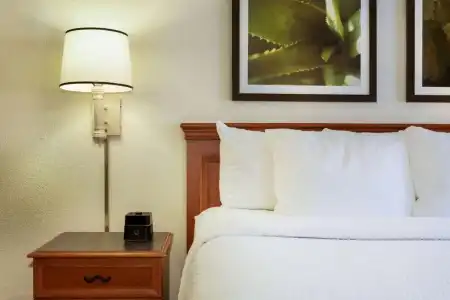 La Quinta Inn by Wyndham Austin Capitol / Downtown - 42