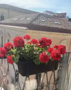 B&B Oriental Palace - 10