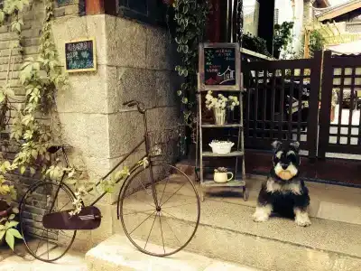 Lijiang Dawn Song Small Luxury - 5