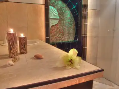 Vogel Appartements & Spa - 28