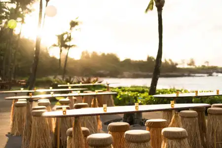 The Ritz-Carlton Maui, Kapalua - 17
