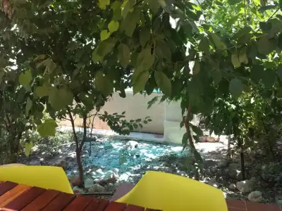 Masseria Villa Marchesi - 198