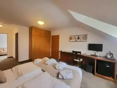 Zenit Wellness Balaton - 9