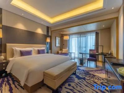 Radisson Blu Wuhan ETD Zone - 87