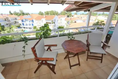 Tropical - 258