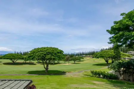 Kapalua Villas Maui - 273