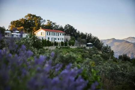 Il Leccio - Luxury Resort Portofino Monte - 80