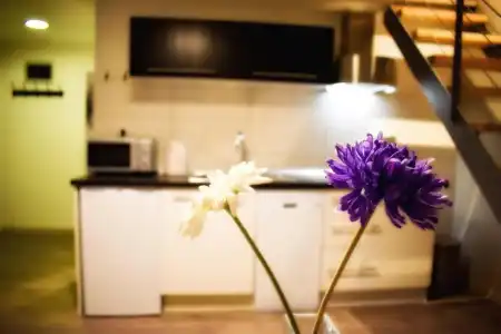 Downtown Apartments Pula - 301