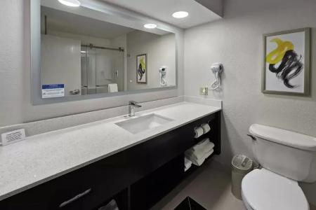 Comfort Inn & Suites Saint Louis Lafayette Square - 7