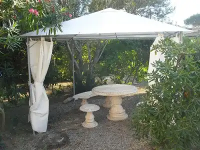 Garden - 8