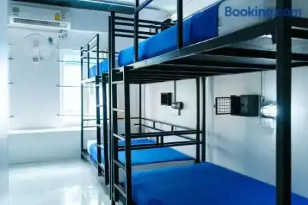 Bodega Phuket Patong - 13