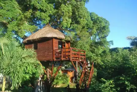 Tree Lodge Mauritius - 11