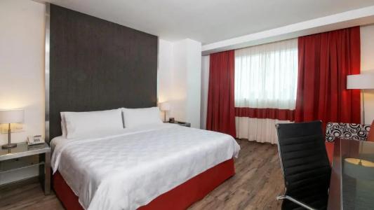 Holiday Inn Zona Centro by IHG - 35