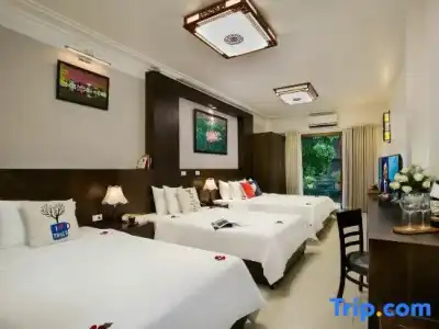 Hanoi Stella - 44