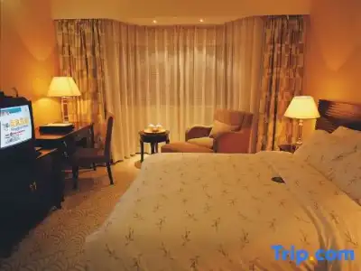 Dongguan - 19