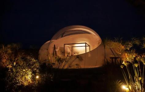 Green Land Bubble Glamping - 25