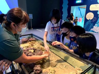 Resorts World Sentosa - Crockfords Tower - 27