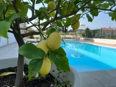 Albergo Renata - 21
