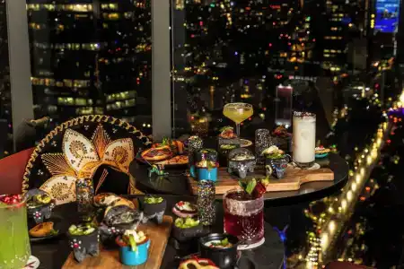 Sofitel Mexico City Reforma - 12