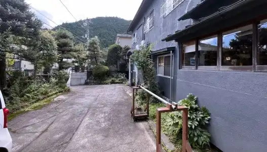 Viva Nikko - 11