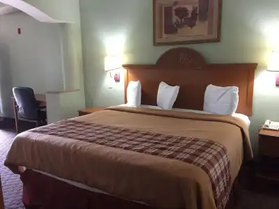 Lotus Inn - 4
